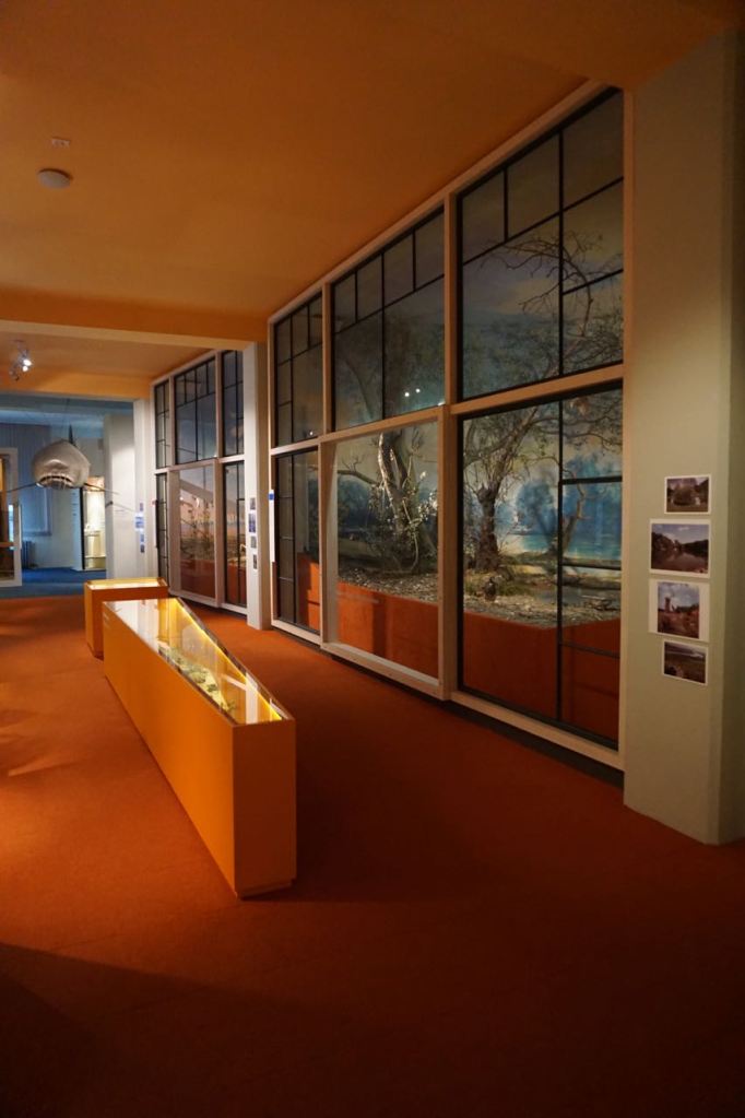 Natuurhistorisch Museum | Bratislava | Slowakije | november 2018 | © Martijn Haan