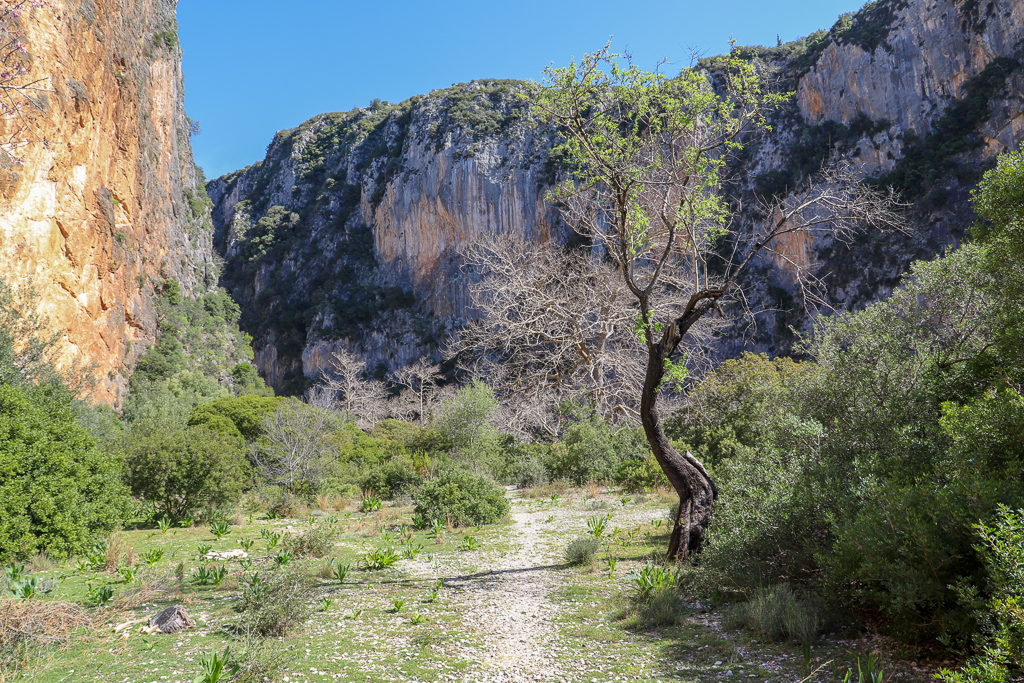 Gjipe beach | Himarë | Albanië
