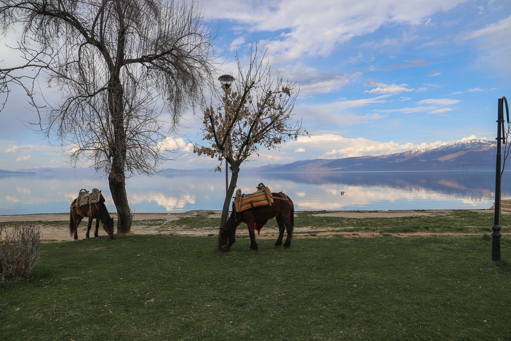 Meer van Ohrid | Pogradec | Albanië