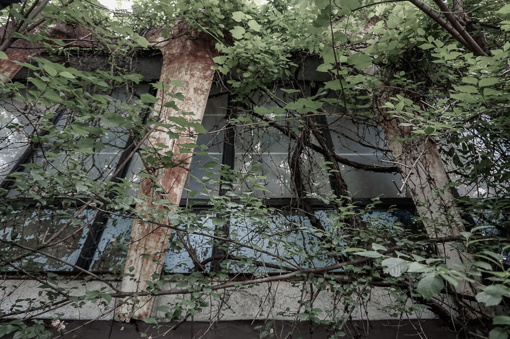 Guguta Cafe | Chisinau | Moldavië