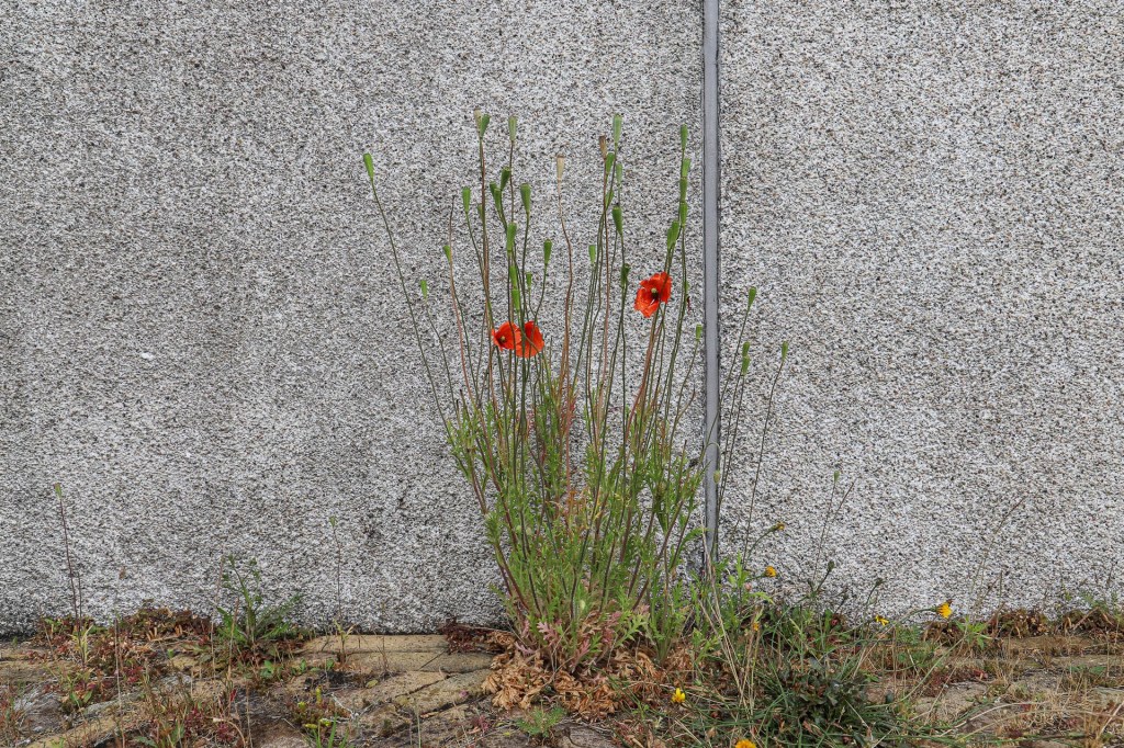 Gebouw A | Radio Kootwijk | Nederland