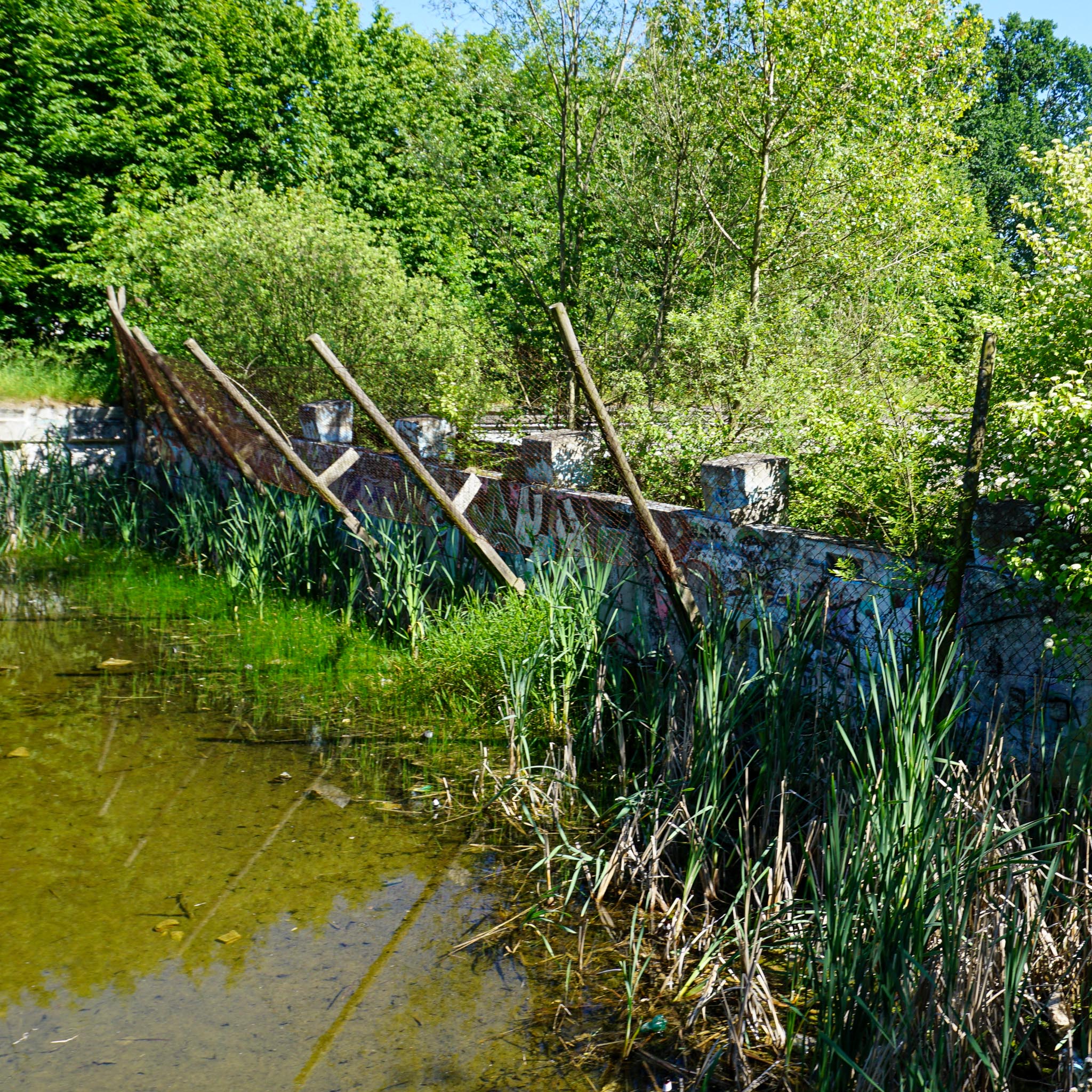 Olympisch zwembad | Wrocław | Polen