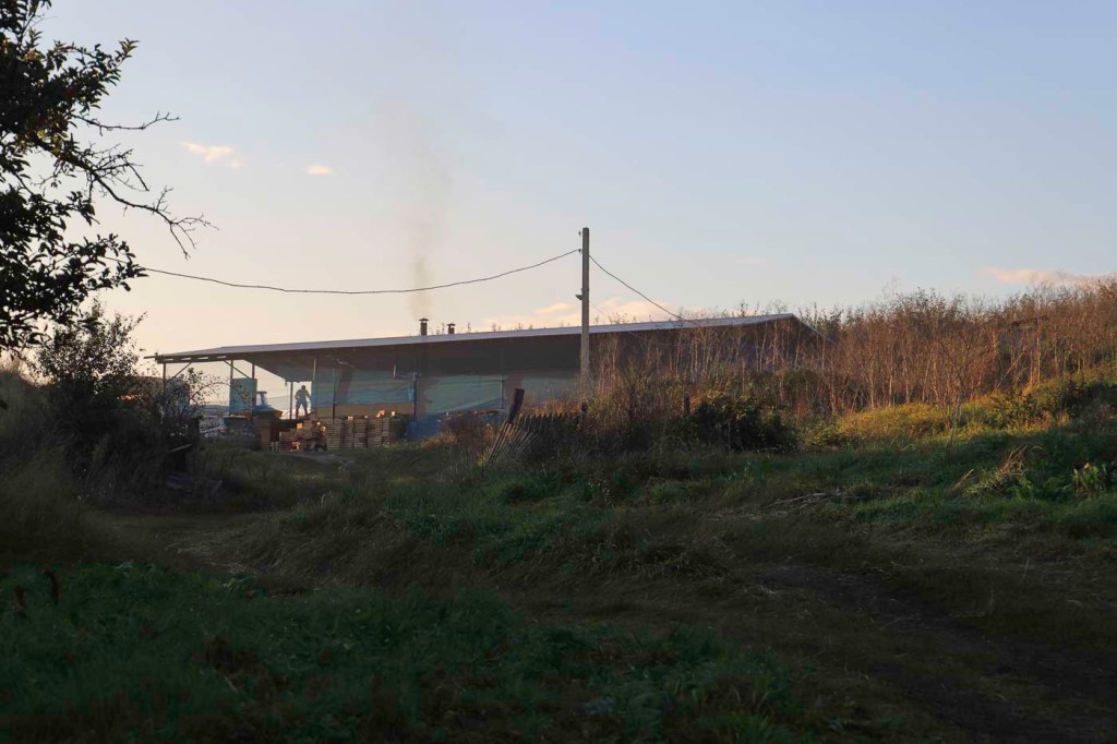 Pruimendrogerij | Micleușeni | Moldavië