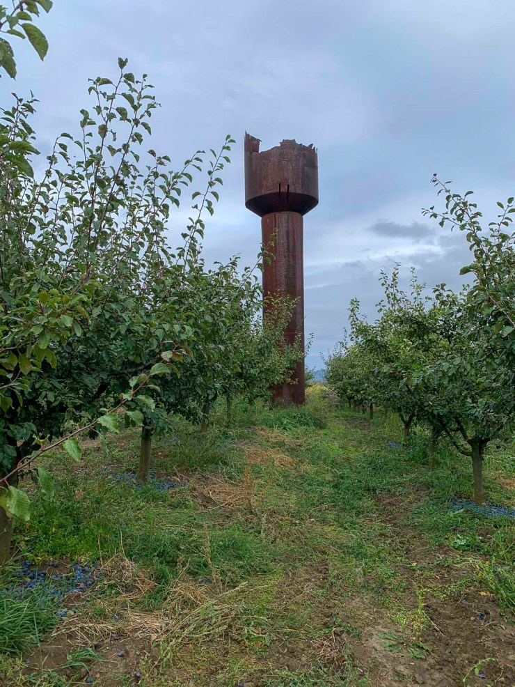 Pruimenboomgaard met oude watertoren | Micleușeni | Moldavië