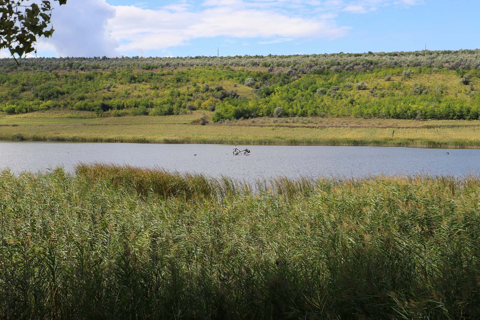 Lazul Lăpușna | Moldavië