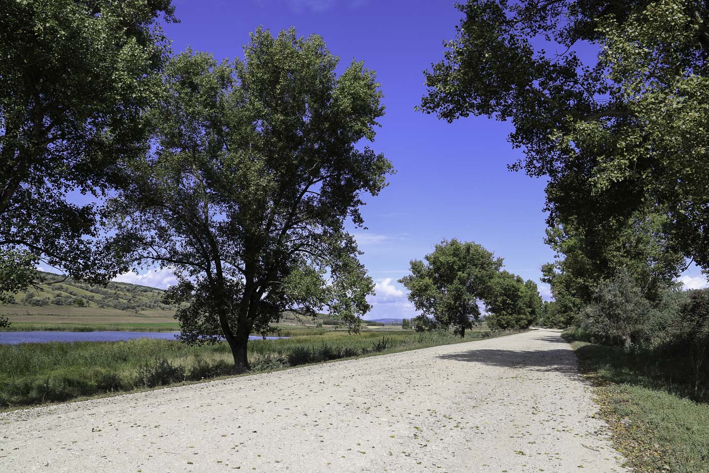 Gravelroad naar Lăpușna | Moldavië