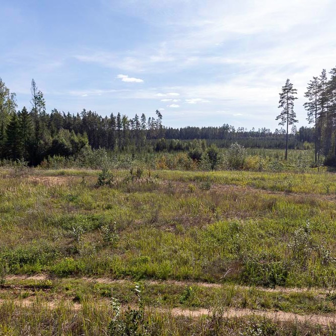 Volgestorte koepels silolanceerbasis Tirza, Gulbene | Letland