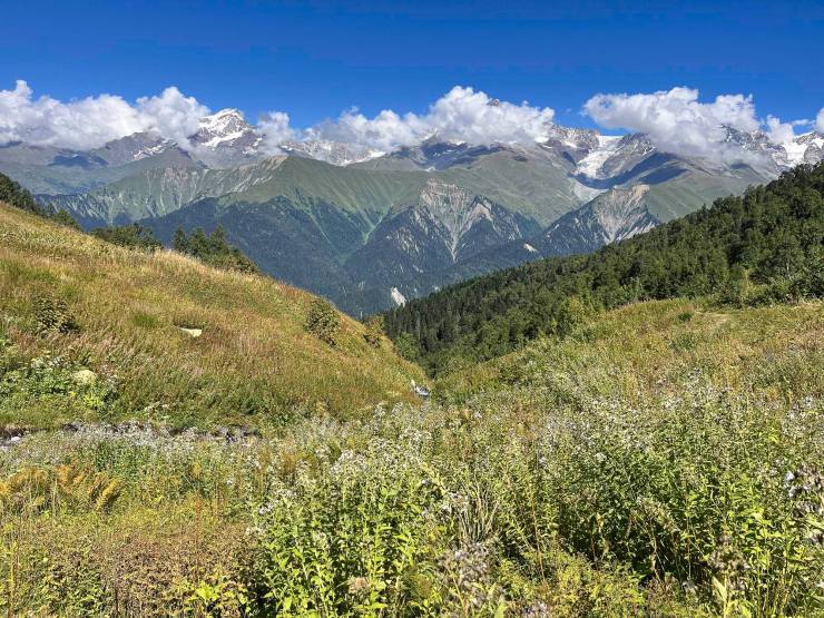 Prachtig berglandschap met groene heuvels, bloemen en besneeuwde toppen onder een blauwe lucht met wolken.